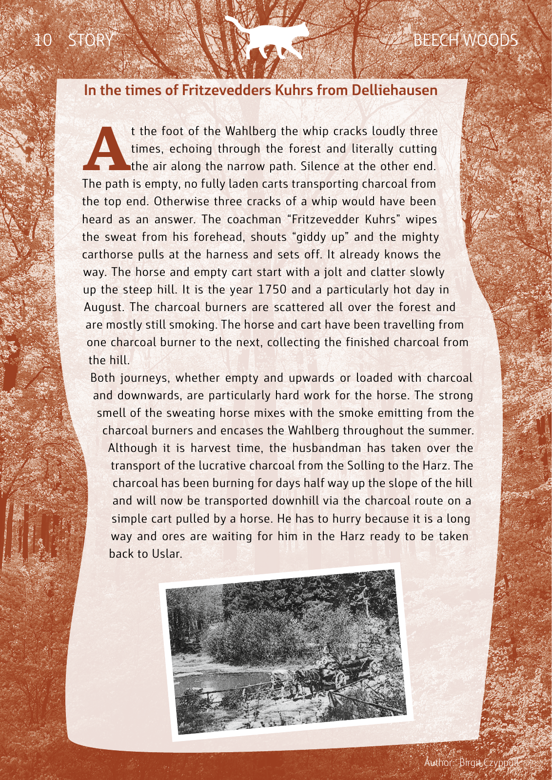Vorschau National Park Book Seite 10