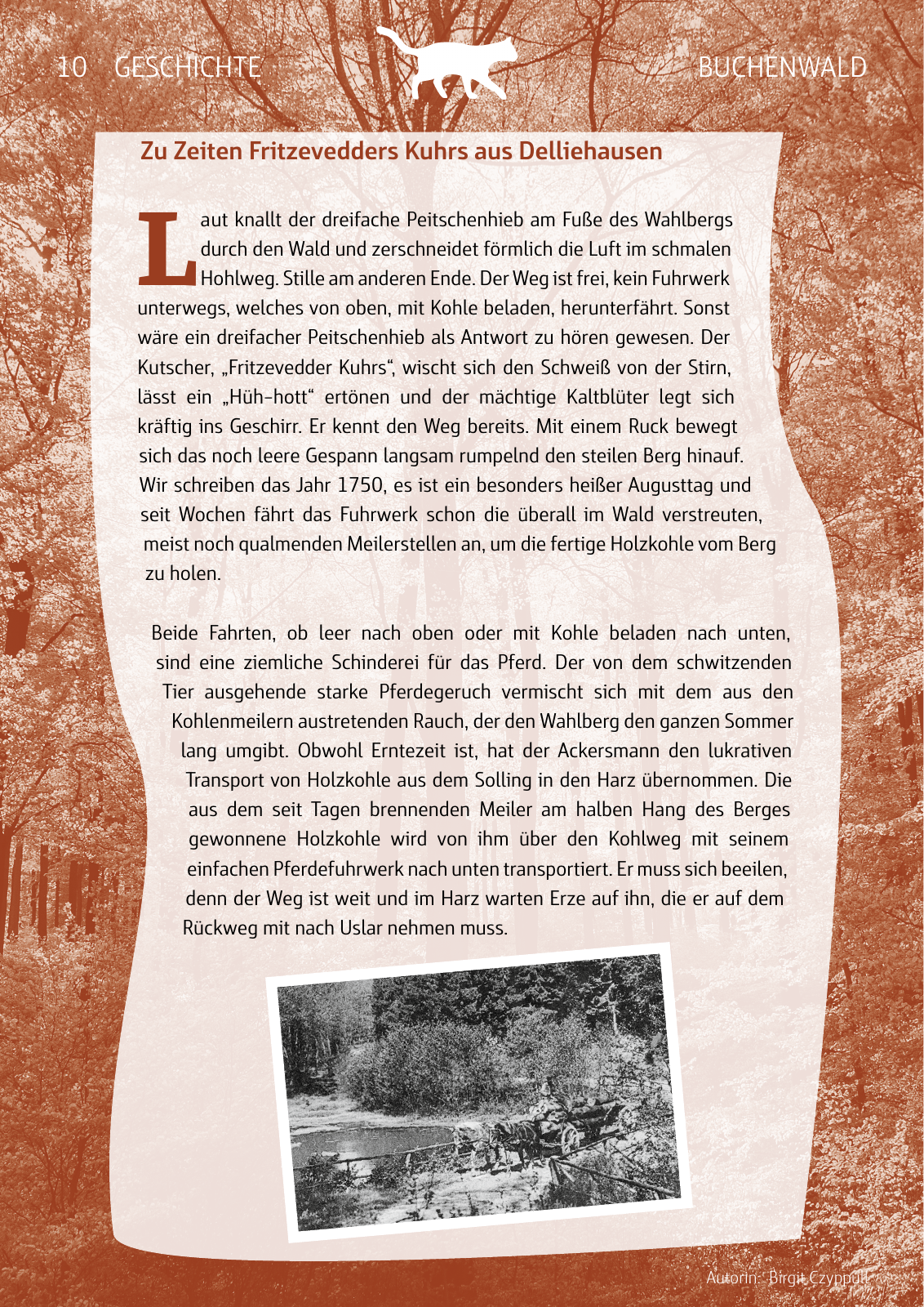 Vorschau Naturparkbuch Seite 10