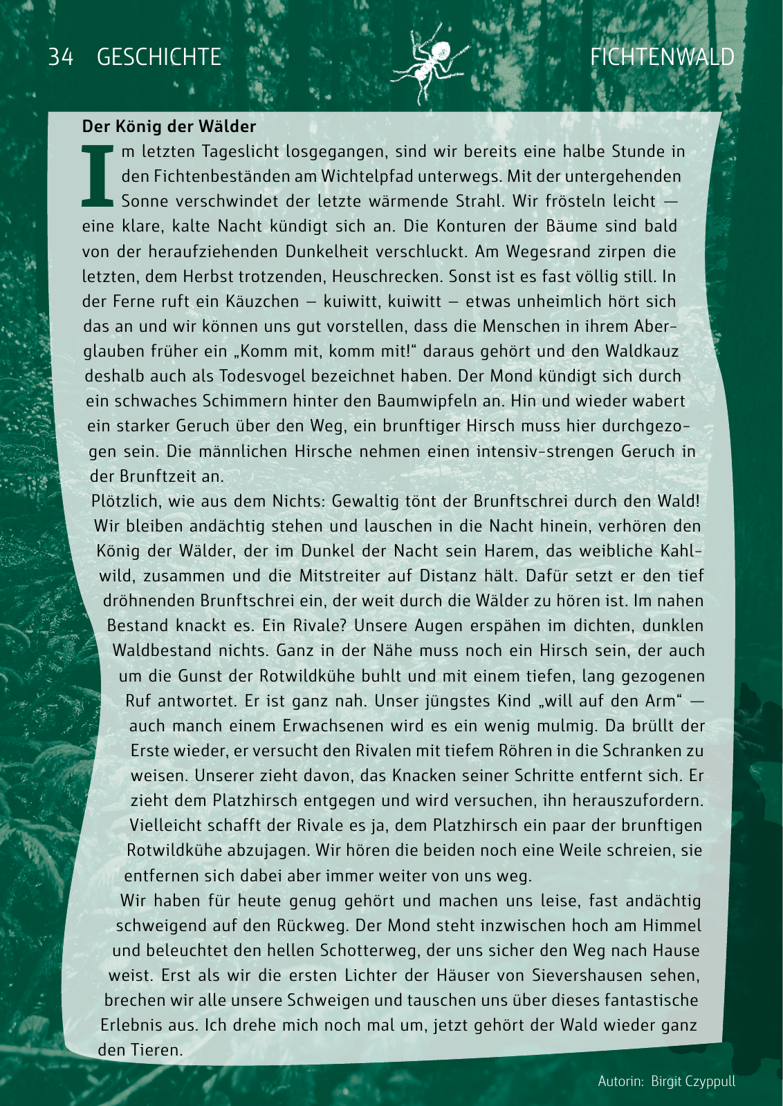 Vorschau Naturparkbuch Seite 34