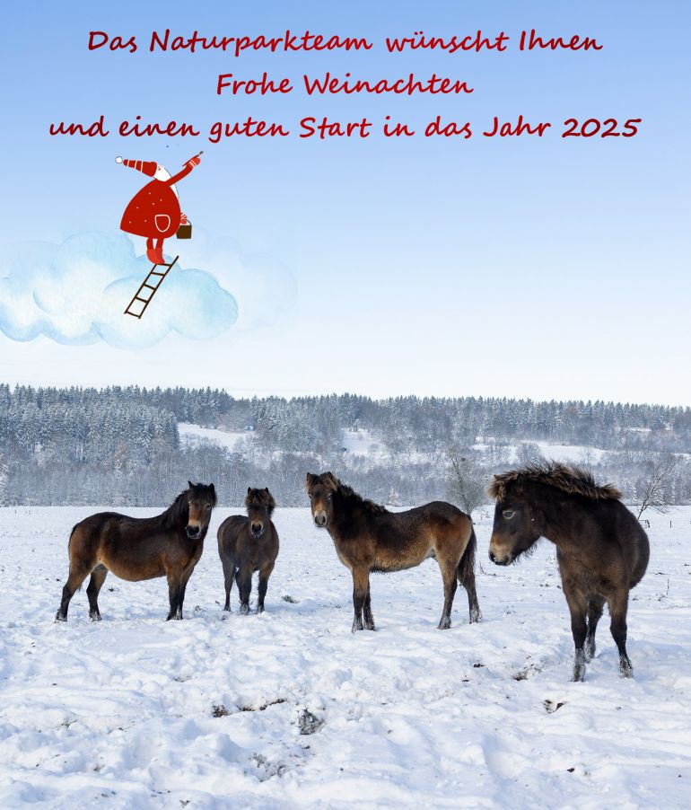 Alles Gute, Gesundheit und Frieden für 2024!