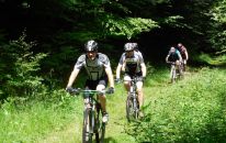 Biker in MTB Region Naturpark Solling-Vogler.JPG