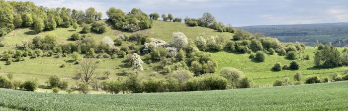 Blick auf den Tempel des südl. Burgbergs, Foto Ansgar Hoppe