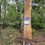 Neu aufgebaute Eichenstele mit Sitzbank, neue Infotafel und Beschilderung in Silberborn.