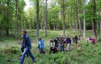 Naturkundliche Wanderung im Hutewald.JPG