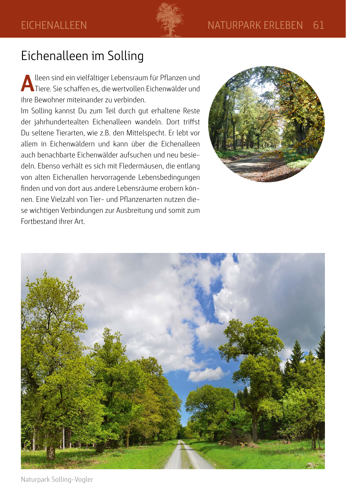 Vorschau Naturparkbuch Seite 61