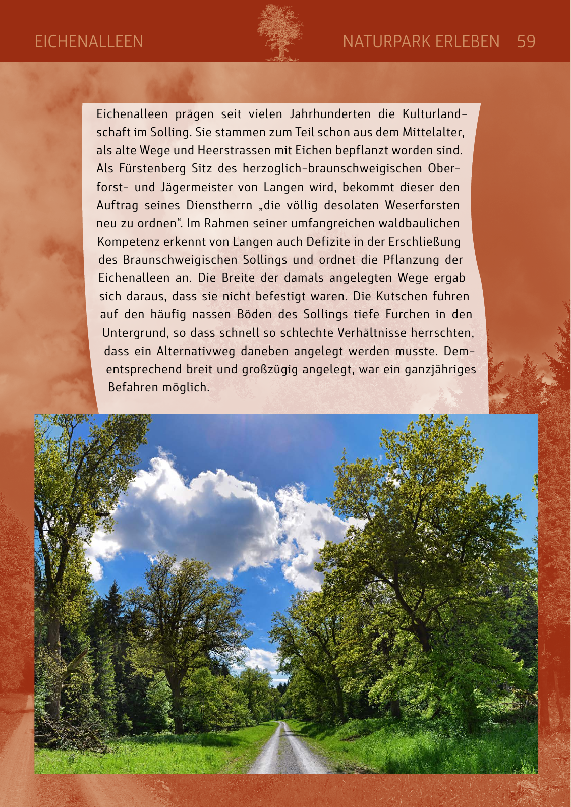 Vorschau Naturparkbuch Seite 59