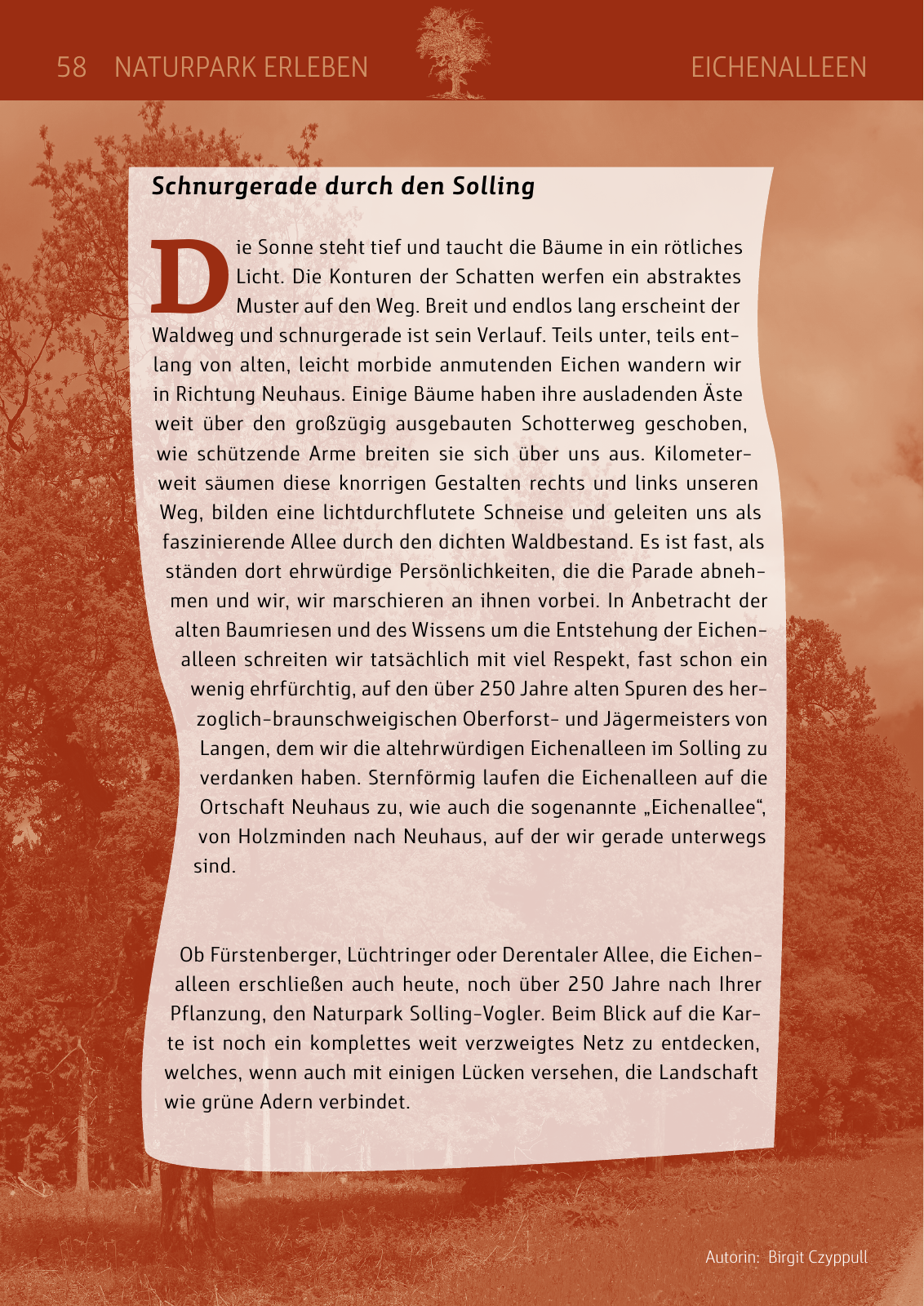 Vorschau Naturparkbuch Seite 58