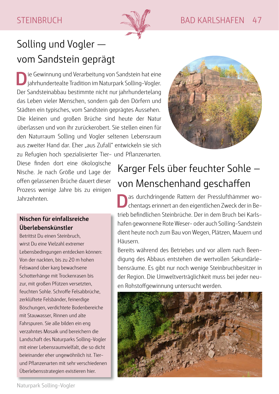 Vorschau Naturparkbuch Seite 47