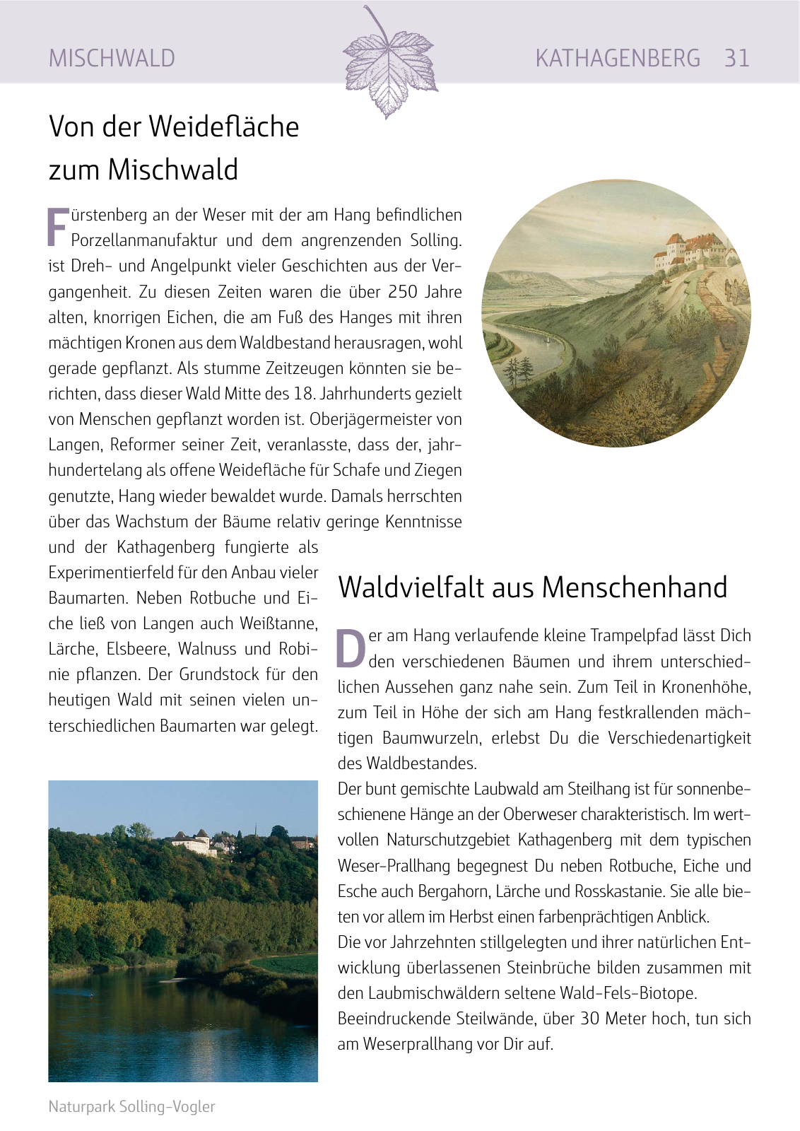 Vorschau Naturparkbuch Seite 31