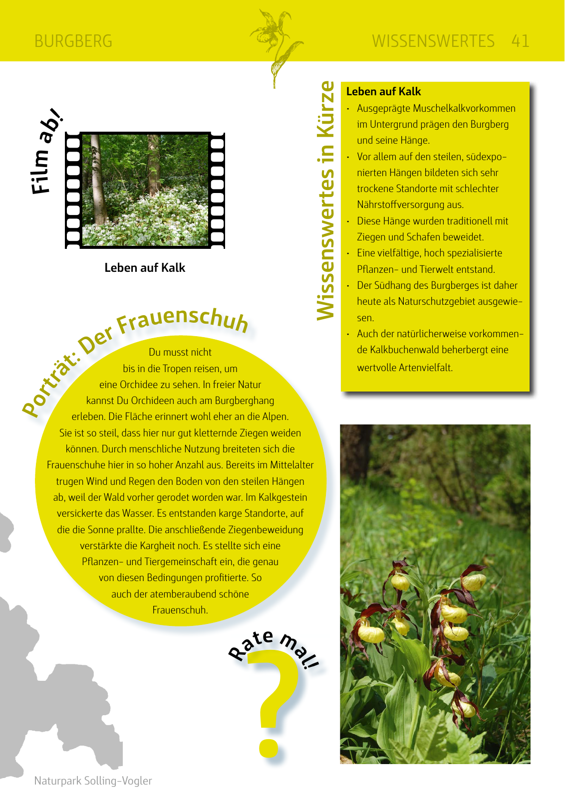 Vorschau Naturparkbuch Seite 41