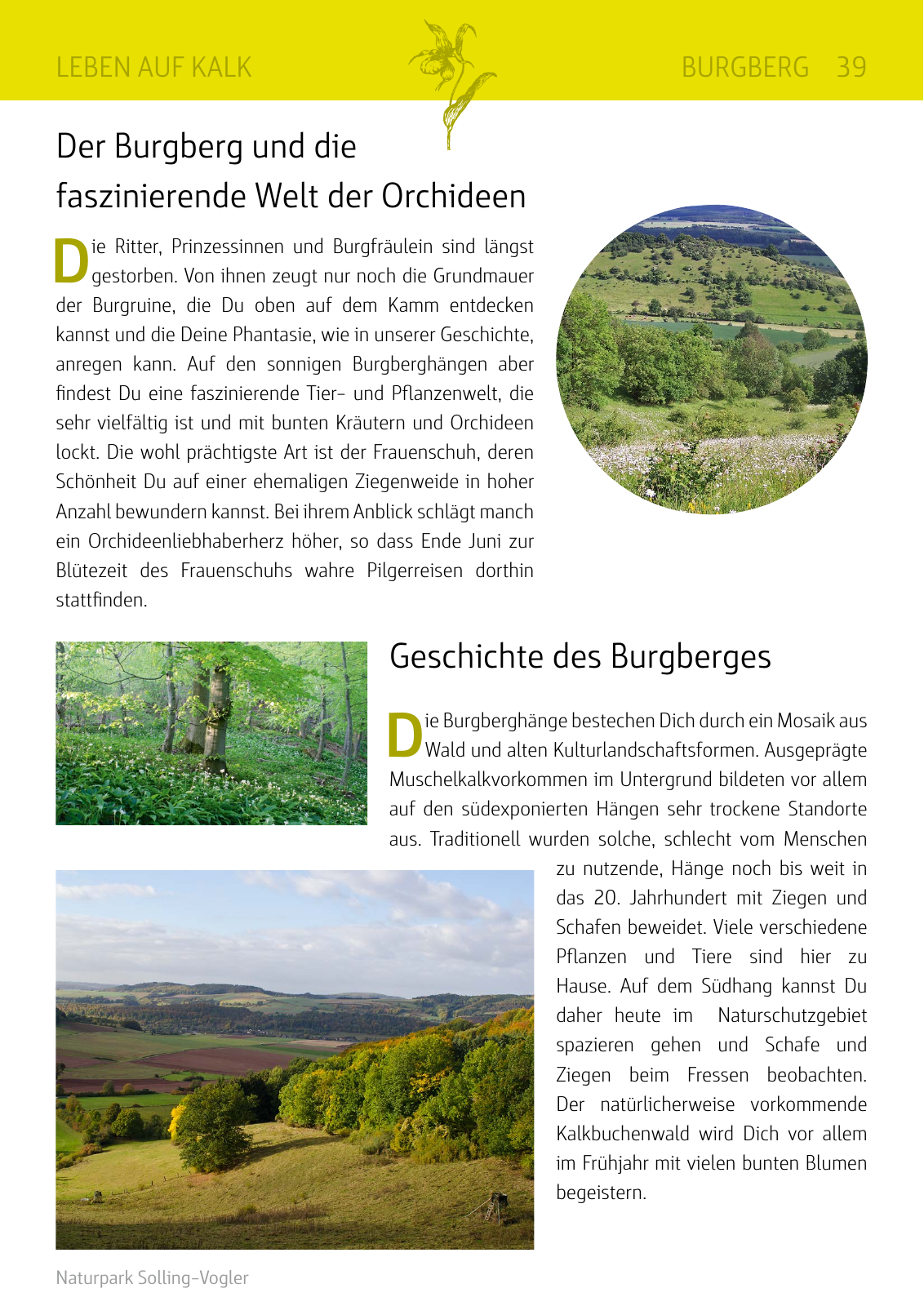 Vorschau Naturparkbuch Seite 39
